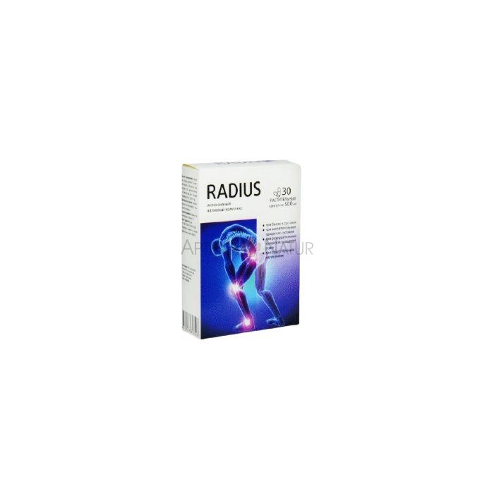 Цена: 0 б. р. ⸺ Купить Radius в Беларуси 🇧🇾
